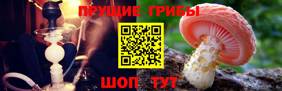 Галлюциногенные грибы Cubensis  Псилоцибиновые грибы Cubensis  Вход с VPN  Дубна 